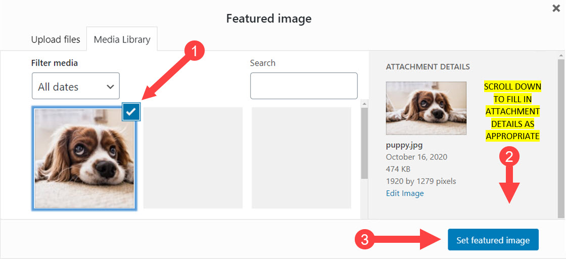 How to Add Featured Images or Post Thumbnails in WordPress - ezSEONews